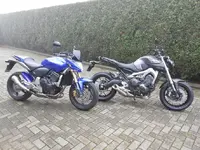 oud nieuw.webp