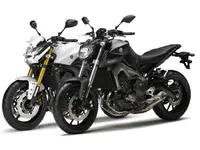 Yamaha_FZ8_yamaha_MT-09.webp