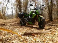 20140210_113358.webp