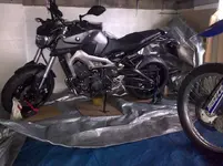 MT 09 004.webp