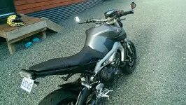 IMAG0040.webp