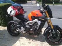 IMAG1699.webp IMAG1699.webp