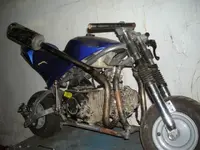DSCN0655_Medium_.webp