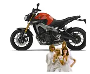 abba stand.webp