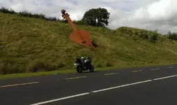 CELLO.webp
