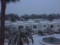 sunny spain.webp