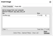 Insert Image 2.webp