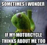 kermit.webp