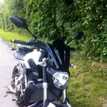 image.webp