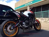 mt09.webp