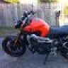 Basil