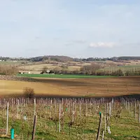 DSC_0442.JPG