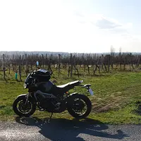 DSC_0444.JPG